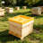 2 Pack 10-Frame Bee Top Feeders