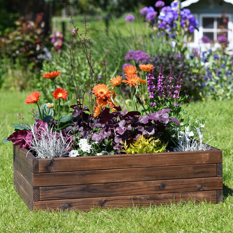 Ayube Wood Raised Garden Bed, 22.50cm H x 80cm W x 60cm D