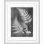 Fernspiration Gray 1' Framed Graphic Art Print on Glass