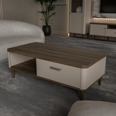 Rohil Coffee Table with Storage
