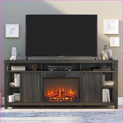 Indoor Electric Fireplace Insert, 23-Inch Traditional Style | Realistic Flame, Remote, Timer | Antique Black | Tempered Glass+Sheet Metal+Plastic