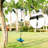 Goodwish 12'' Disc Swing with Mounting Hangers and Chains-62154412
