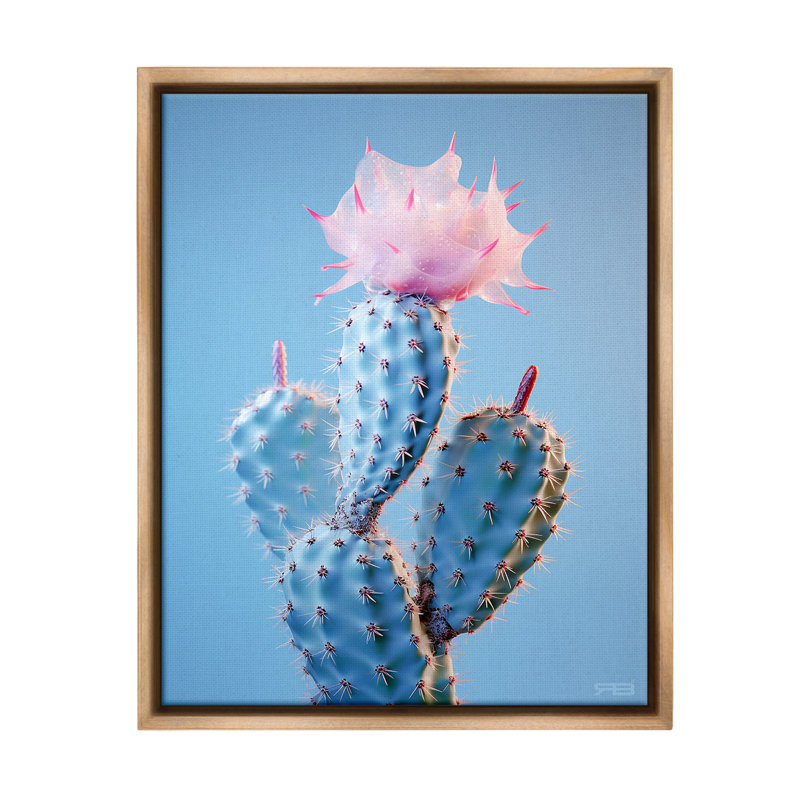 «Pink Budding Cactus Flowers» par RB sur, Cadre flottant orme Montalcino, H 21 po x l 17 po