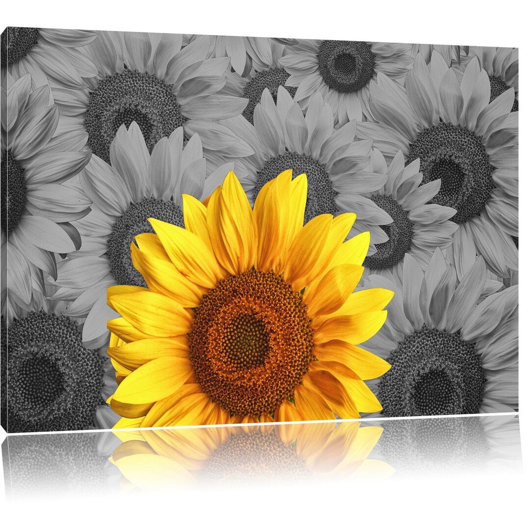 Leinwandbild Schöne Sonnenblumen