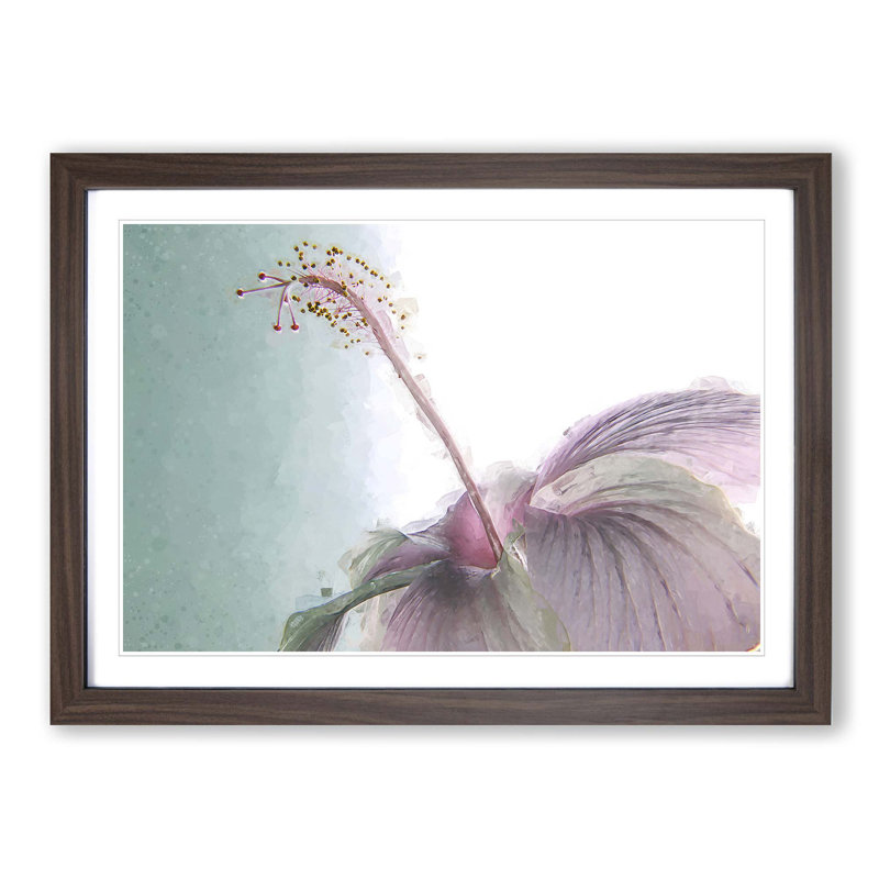 Pink Hibiscus Flower in Abstract - Picture Frame Graphic Art Print, Walnut, 40cm H x 60cm W x 2cm D