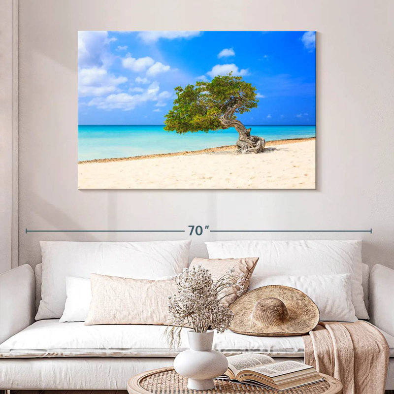 Arbre solitaire sur la plage d'Aruba, H 32 po x l 48 po