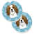 Cavalier Spaniel