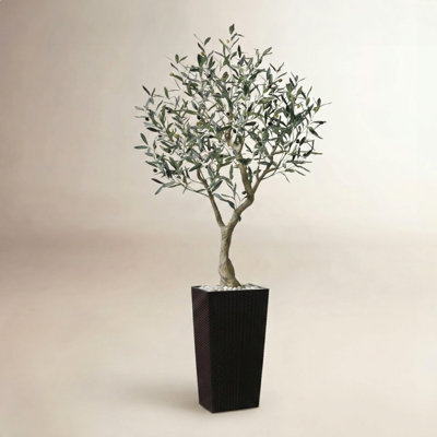 Olive Tree in Decorative Vase