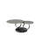 Ashneel Extendable Pedestal Coffee Table