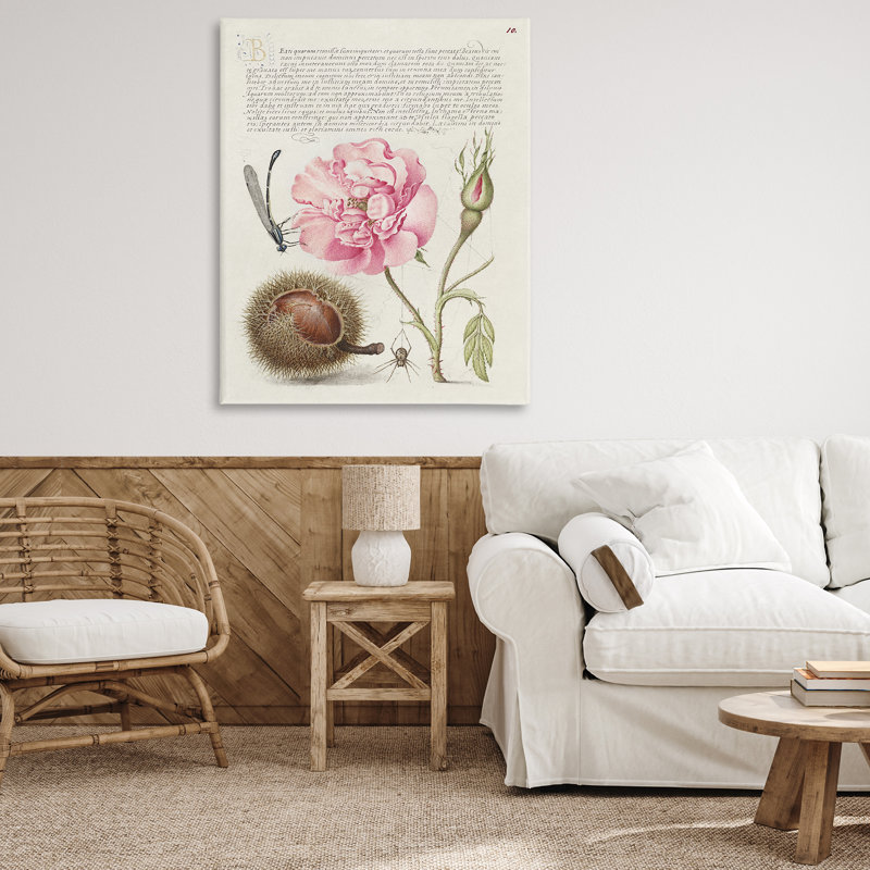Art antique par Joris Hoefnagel, H 48 po x l 36 po