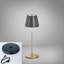 Adaidh Metal USB Battery -operated Table Lamp Lamp-553968056