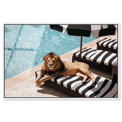 «King of Comfort», photographie d'art mural en verre acrylique ultrabrillant encadrée par Art Remedy, cadre blanc, 54 x 36