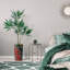 66 plantes-97701517