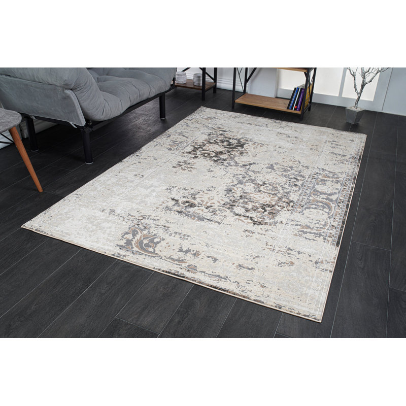 Sohil Oriental Indoor Rug, Rectangle 3'11" x 5'3"