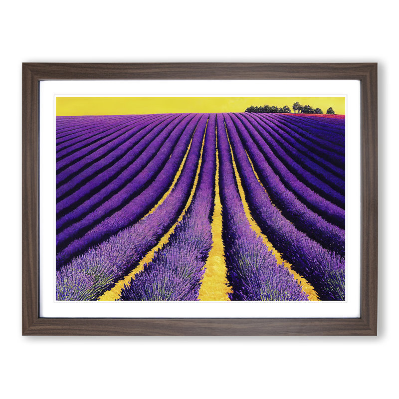Flawless Lavender Flower Field 1 Piece Single Picture Frame Wall Art, 34cm H x 46cm W x 2cm D, Walnut