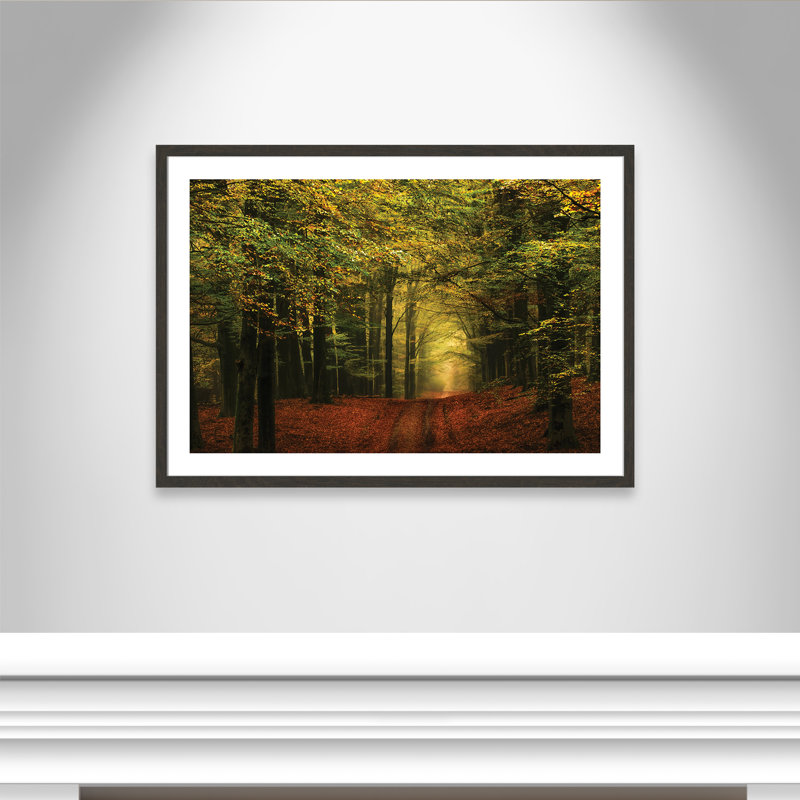 «Alvares A Forest Path», reproduction de photo encadrée
