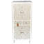 Mishti Manufactured Wood Wardrobe