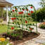 Treillis de jardin d'escalade pour plantes grimpantes