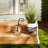 Colworth Weather Resistant Planter Accessory