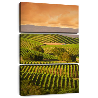 Alvord Carneros Vineyards