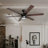 Kaliza 56" Ceiling Fan with LED Light-1508333742