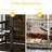 48" Large Dog Crate With Construction & Adjustable Water Feeder Material Raised-48199943