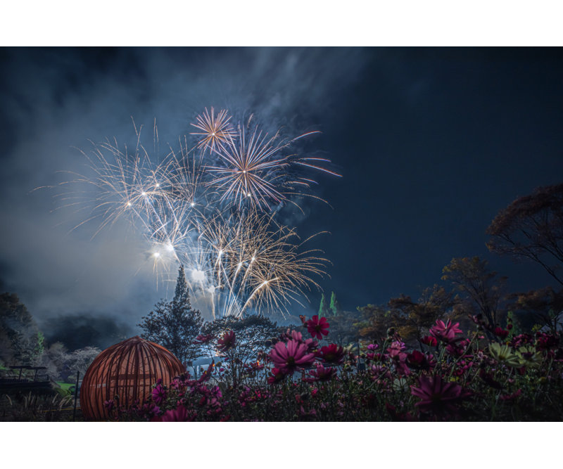 Wrapped Canvas Print, 60.96 cm H x 91.44 cm W