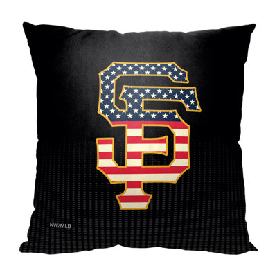 No Patern Indoor/Outdoor Pillow Cover