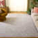 Pasha Hand Woven Performance Geometric Rug