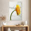 Harnek Daisy Water Splash-108241178