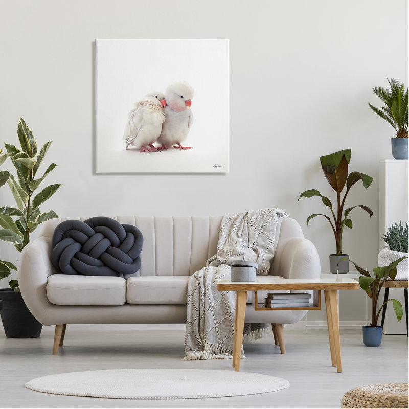 ba-969 - Reproduction d'art sur toile encadrée, "White Love Birds" par Roozbeh, H 30 po x l 30 po x P 1,5 po