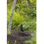 Hardy Island 4W MR16 LED Spot Light-1181529003-1181529002
