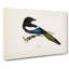 Eurasian Magpie by Von Wright - Wrapped Canvas-55370292