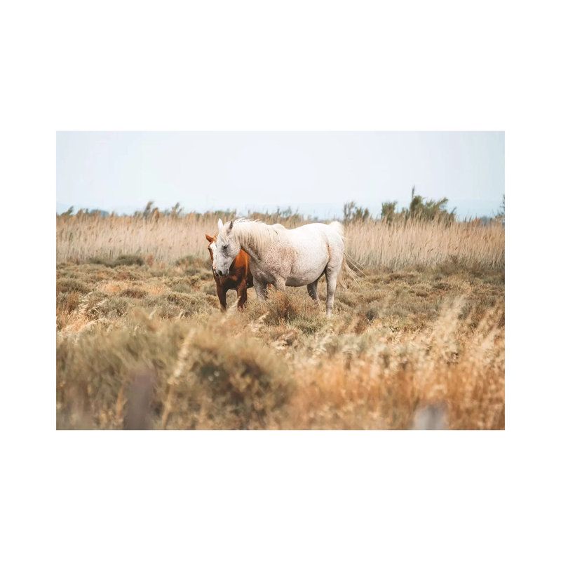 Camargue Wild Horses by James Vodicka - No Frame Gallery-Wrapped Canvas Giclée on Canvas, 20.32 cm H x 30.48 cm W