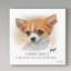 Impression d’art graphique sur toile tendue chihuahua-26857826