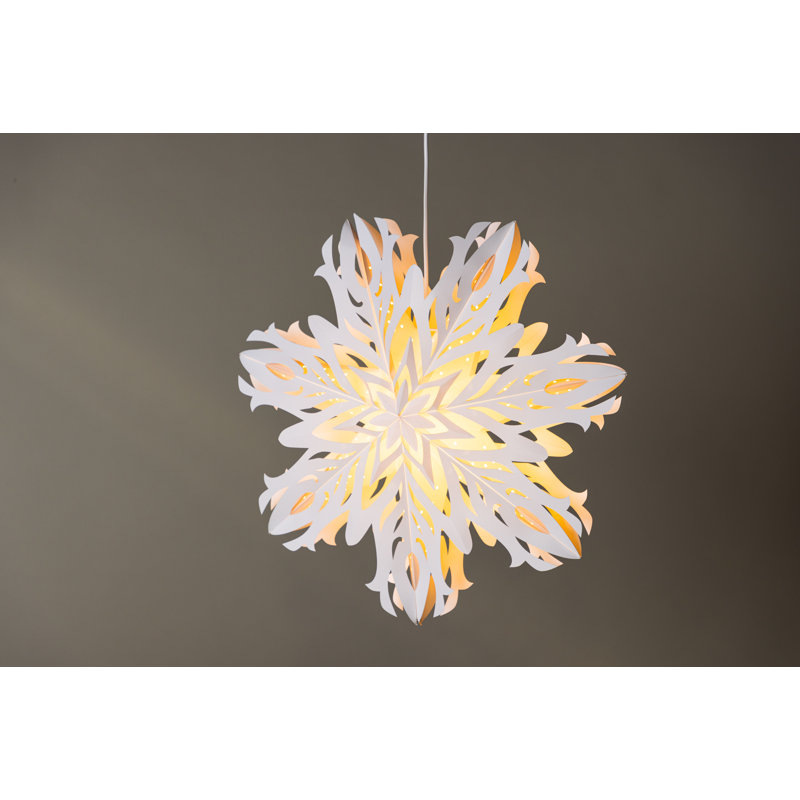 Archbald 1 - Light Unique/Statement Pendant
