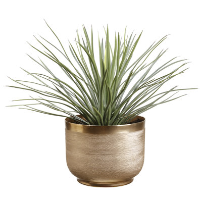 Jardinière texturée Yucca en vert H 6 po x l 7,75 po