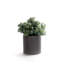 Faux Succulent Plant in Ceramic Planter