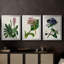 AntiqueFloralFolio II - Toile tendue avec châssis sur mesure - 3 pièces-242561143-242561137