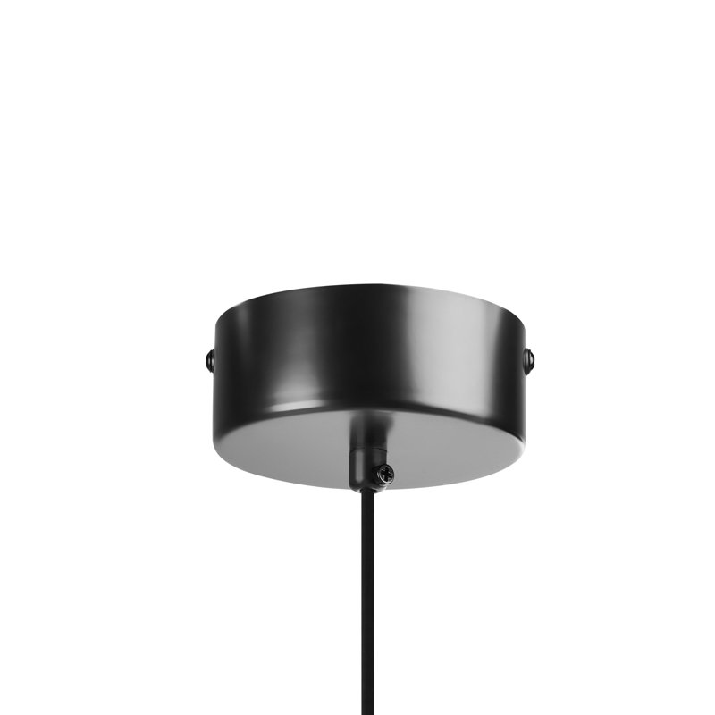 1 - Light Matte Novelty Pendant, Black