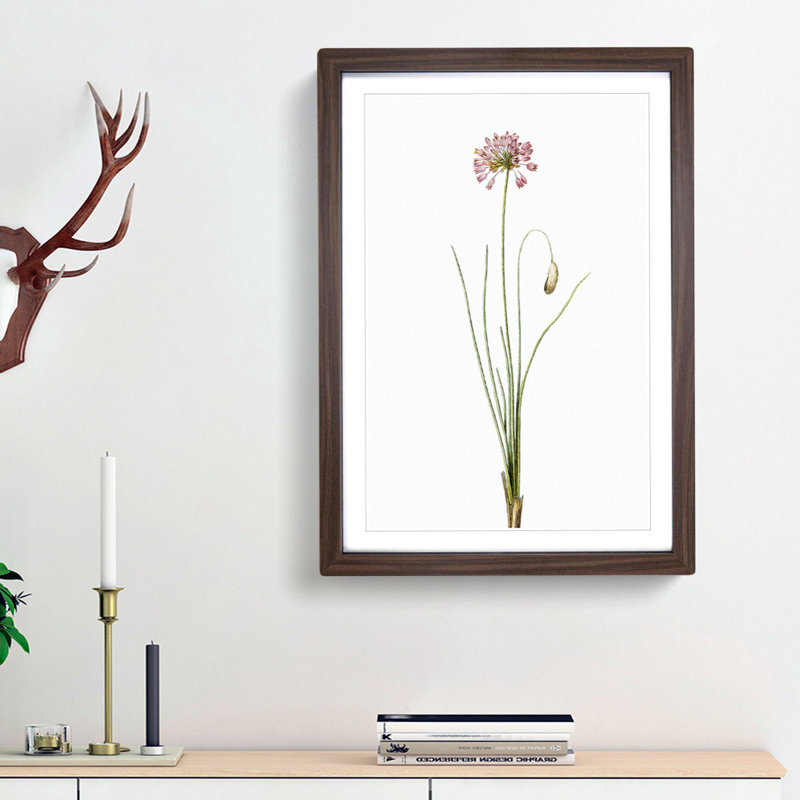 Autumn Onion Flowers by Pierre-Joseph Redoute - Framed Print, 33cm H x 24cm W x 2cm D, Walnut Framed