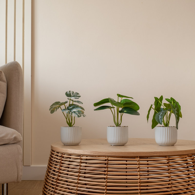 Faux Plants in White Ribbed Pots