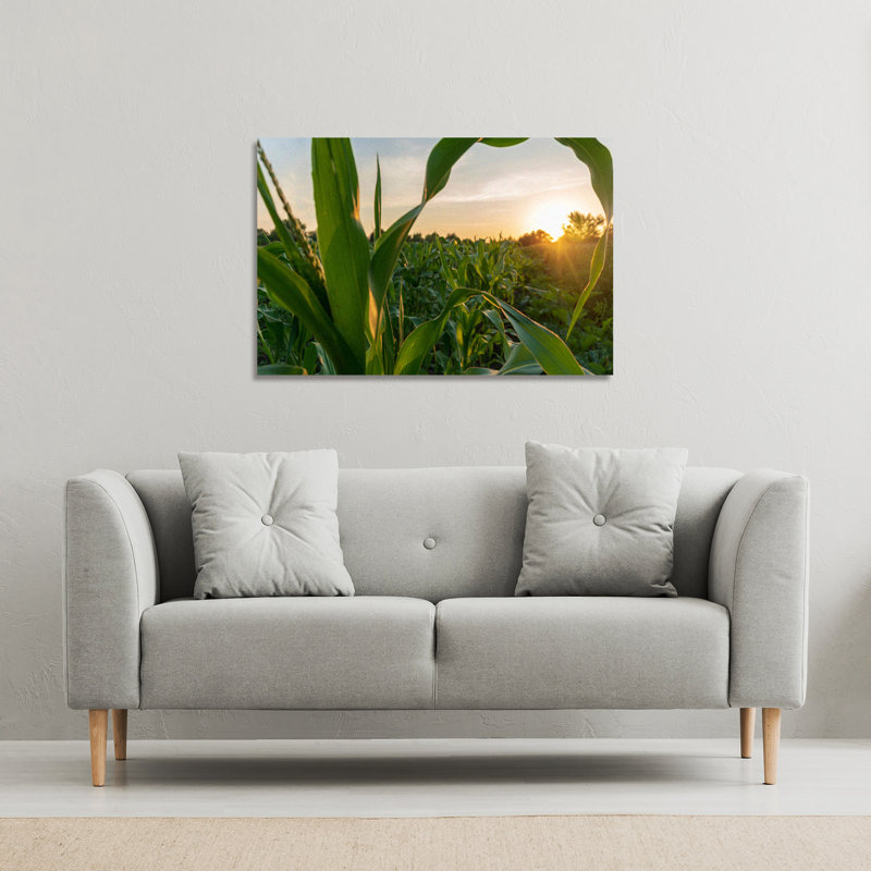 No Title by Andrew Lee - Wrapped Canvas Print