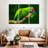 Brampt Military Macaw-108092096