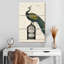 Cage à oiseaux Brampt Peacock II-108632914