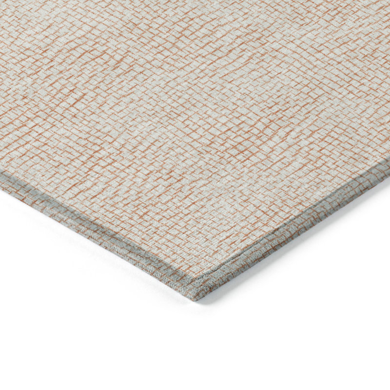 Machine Washable Indoor/Outdoor Chayden ACN1058 Rug, Rectangle 5' x 7'6"