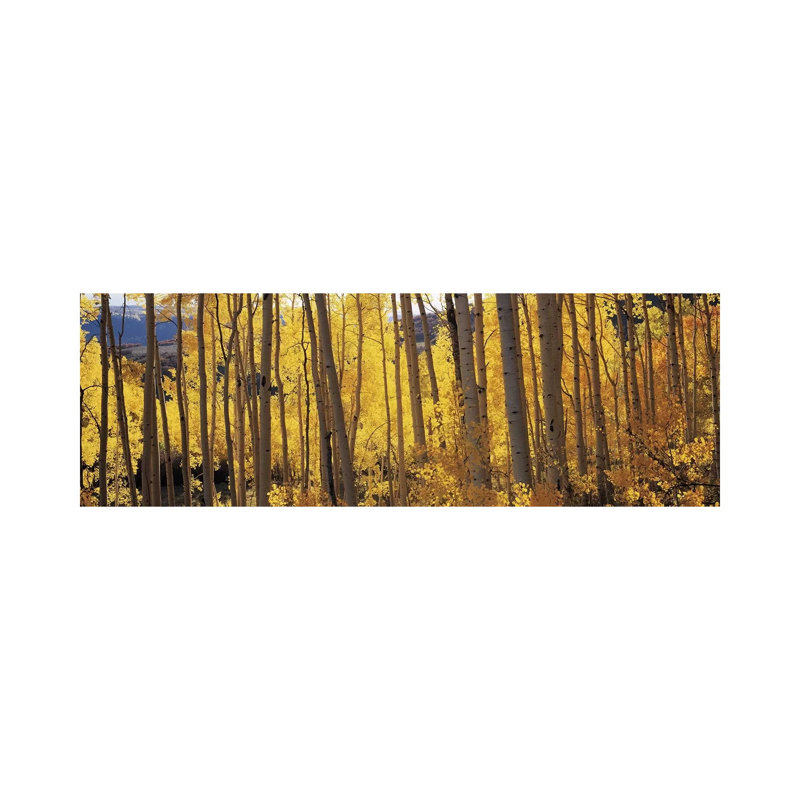 1 Piece Wrapped Canvas Wall Art, 152.4 cm H x 50.8 cm W x 3.175 cm D