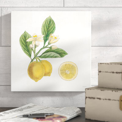 Classic Citrus I by Sue Schlabach - Wrapped Canvas Print
