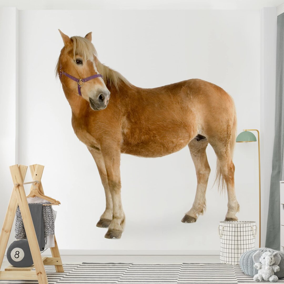 Strukturierte Fototapete Haflinger 1,92 m x 192 cm