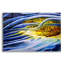 «Anemone Cerianthid» par Rita Shimelfarb-1615132820